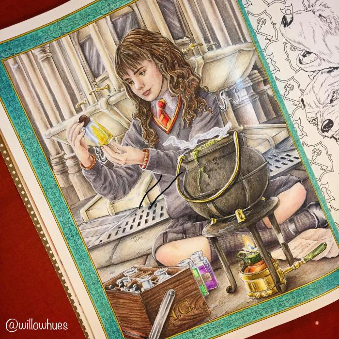 Harry potter coloring books