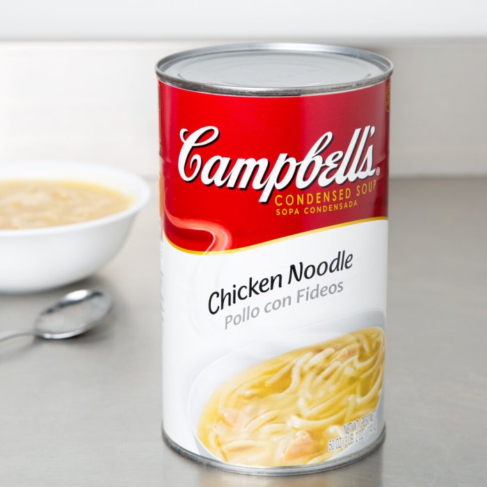 Campbells chicken noodle soup recipe