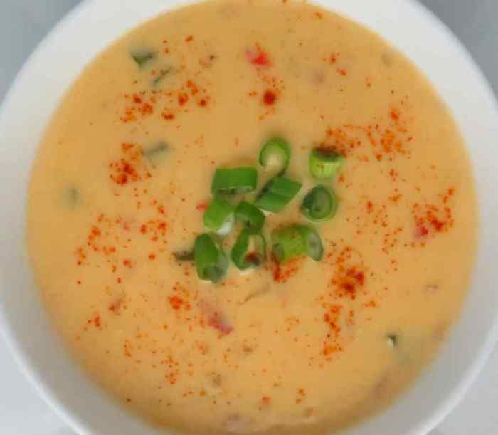 Cheddar soup recipes