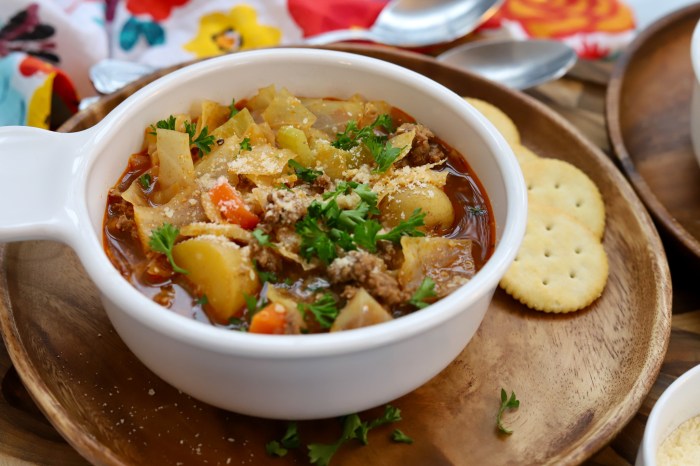 Cabbage and ground beef soup recipes