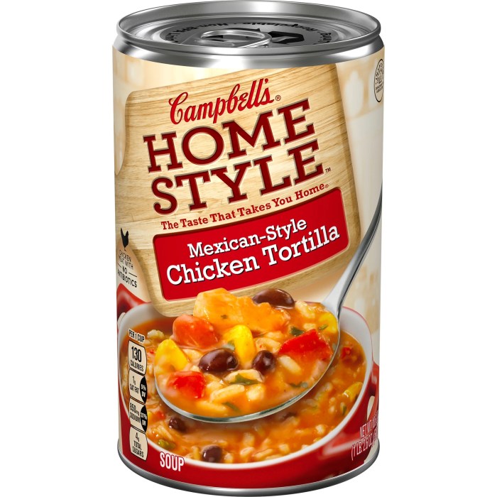 Campbell's chicken tortilla soup recipe easy