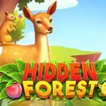 Hidden Forest